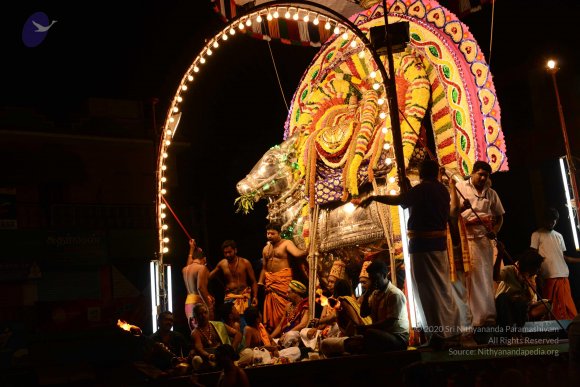 20170207_Photo_1018_DSC_0579_CMP_WM