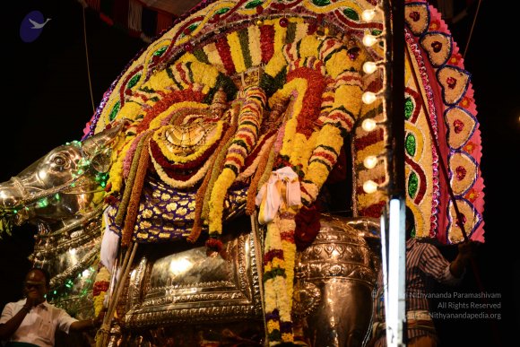 20170207_Photo_1095_DSC_0234_CMP_WM