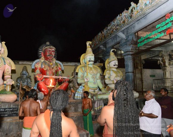 20170207_Photo_1113_DSC_1079_CMP_WM Done