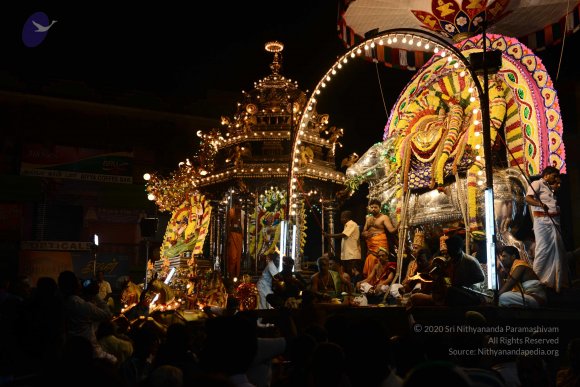 20170207_Photo_1118_DSC_0520_CMP_WM