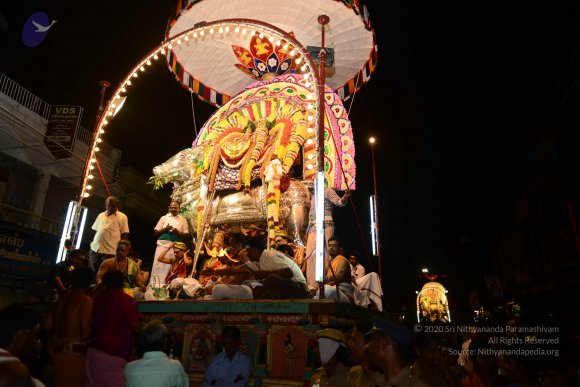 20170207_Photo_1125_DSC_0231_CMP_WM