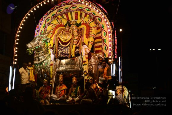 20170207_Photo_1126_DSC_0325_CMP_WM