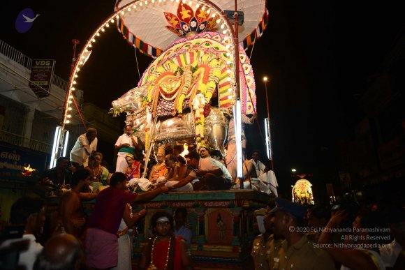 20170207_Photo_1151_DSC_0227_CMP_WM