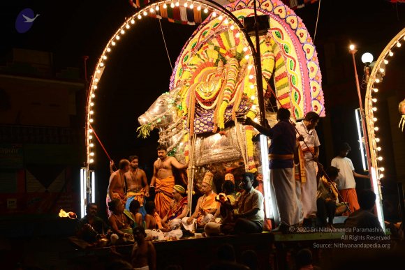 20170207_Photo_1159_DSC_0577_CMP_WM