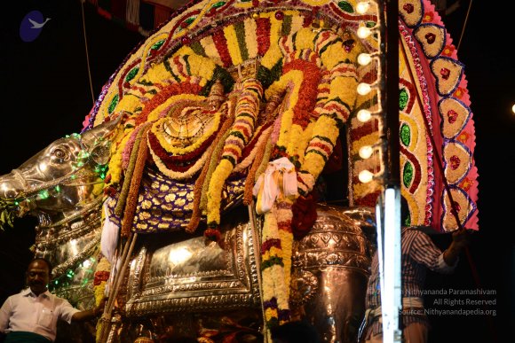 20170207_Photo_1174_DSC_0233_CMP_WM