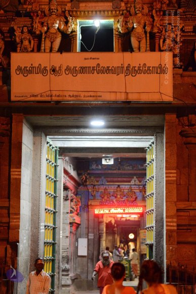 20170207_Photo_1002_DSC_0785_CMP_WM