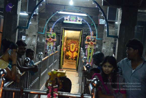 20170207_Photo_1010_DSC_0889_CMP_WM