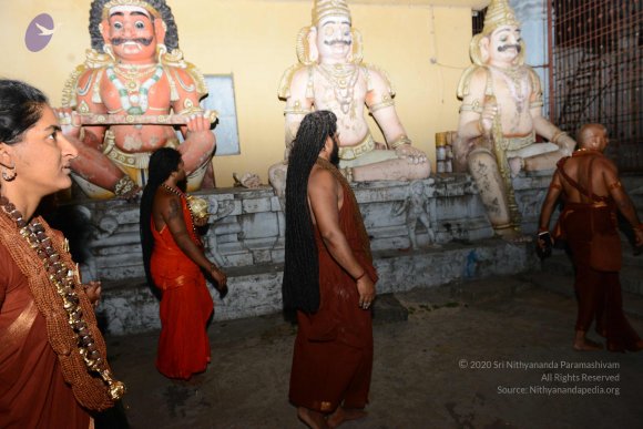 20170207_Photo_1015_DSC_1041_CMP_WM