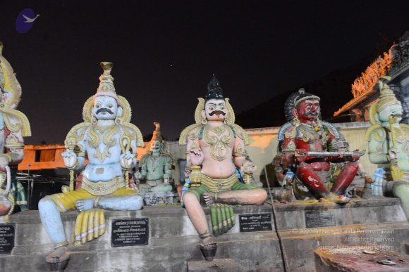 20170207_Photo_1017_DSC_1067_CMP_WM