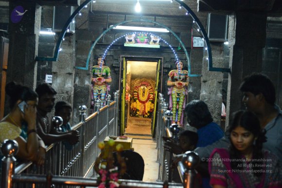 20170207_Photo_1040_DSC_0891_CMP_WM