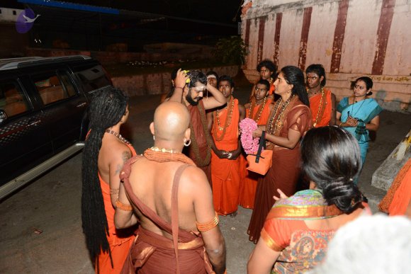 20170207_Photo_1045_DSC_1087_CMP_WM