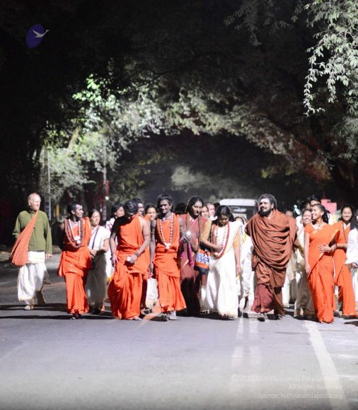 20170207_Photo_1027_DSC_0646_CMP_WM done