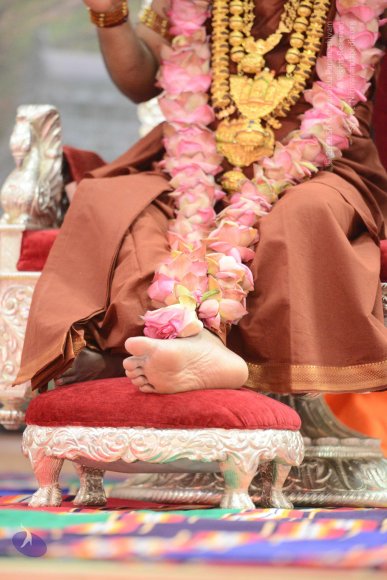 20170205_Photo_1026_DSC_9047_CMP_WM