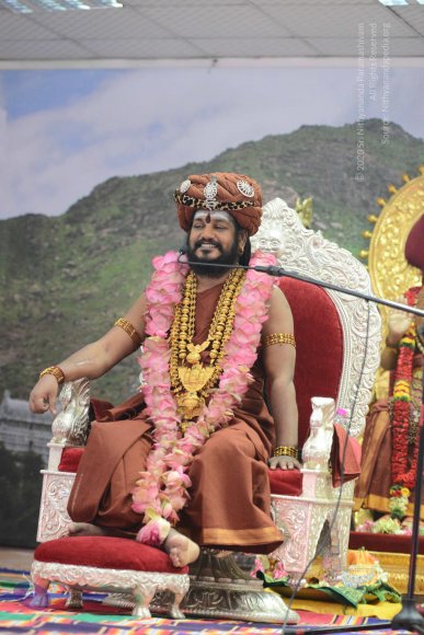 20170205_Photo_1066_DSC_8869_CMP_WM