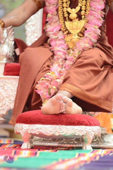 20170205_Photo_1128_DSC_9206_CMP_WM