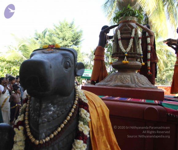 IMG_0297_CMP_WM Done