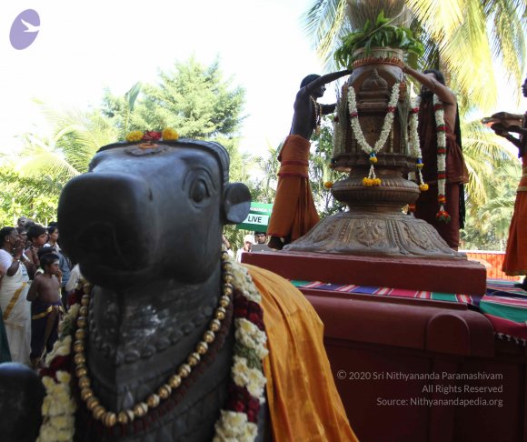 IMG_0298_CMP_WM Done