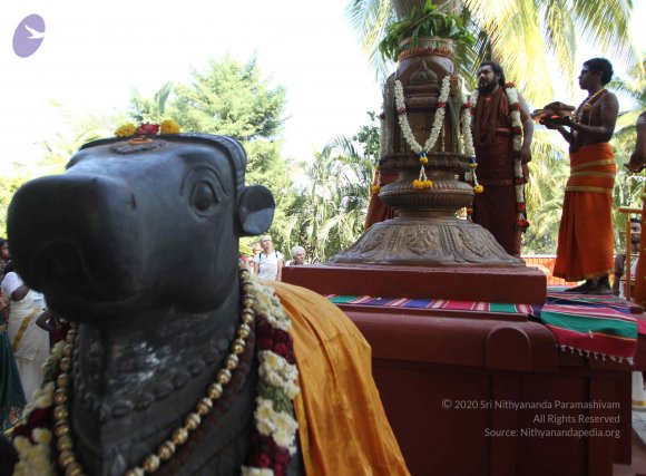 IMG_0301_CMP_WM Done