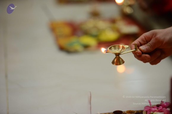 20170112_Photo_1009_DSC_5072_CMP_WM