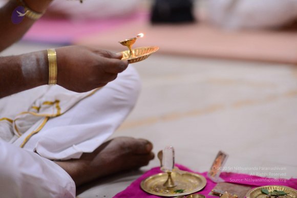 20170112_Photo_1046_DSC_5132_CMP_WM