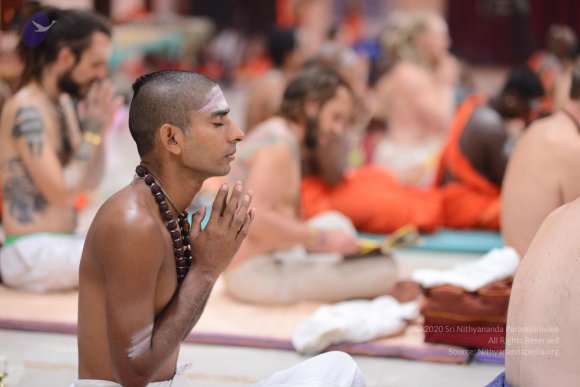 20170112_Photo_1049_DSC_5142_CMP_WM