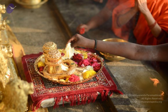 20170112_Photo_1020_DSC_5217_CMP_WM