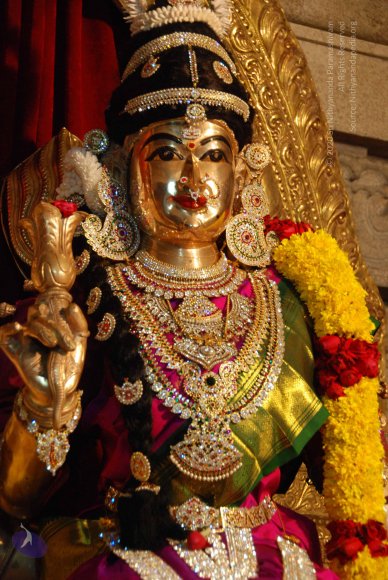 20170720_Photo_1047_DSC_4614_CMP_WM