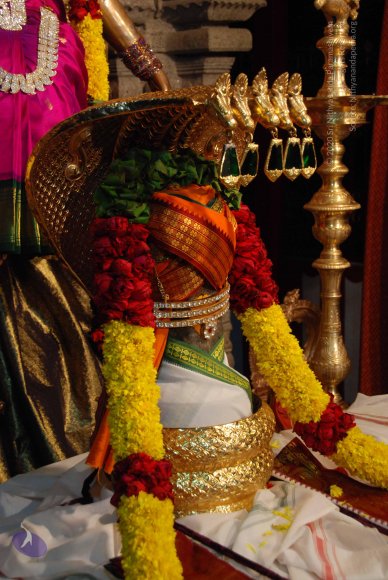 20170720_Photo_1066_DSC_4690_CMP_WM