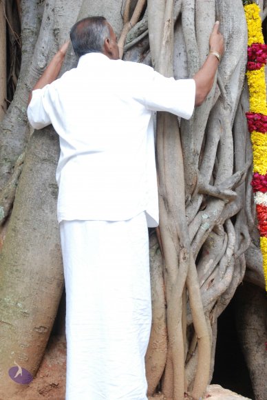 20170720_Photo_1004_DSC_4223_CMP_WM