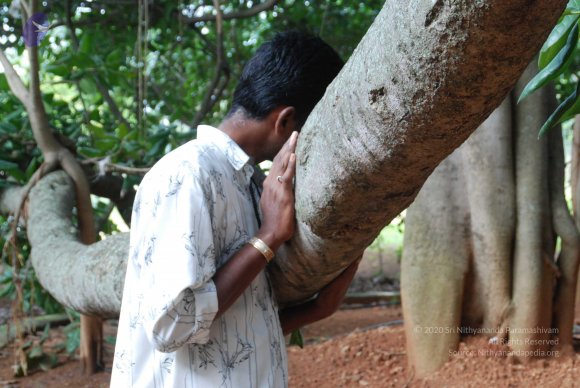 20170720_Photo_1011_DSC_4231_CMP_WM