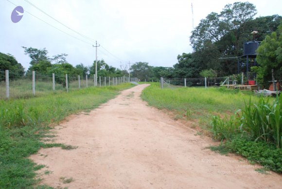 20170720_Photo_1026_DSC_3898_CMP_WM