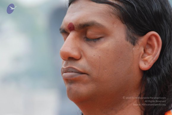 20170720_Photo_1111_DSC_3952_CMP_WM