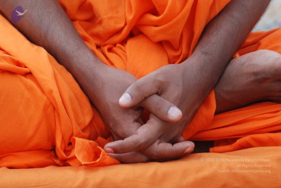 20170720_Photo_1138_DSC_4058_CMP_WM