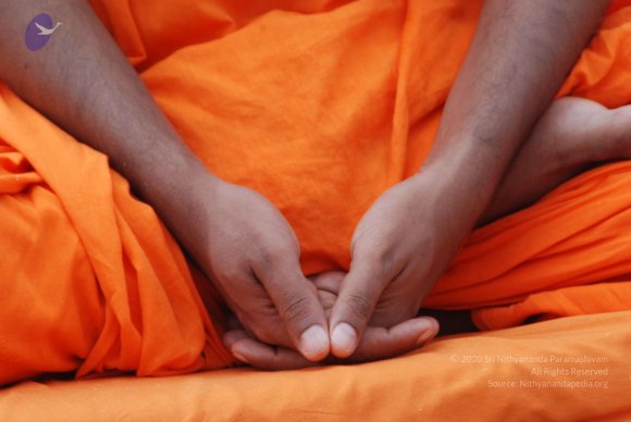 20170720_Photo_1230_DSC_4068_CMP_WM