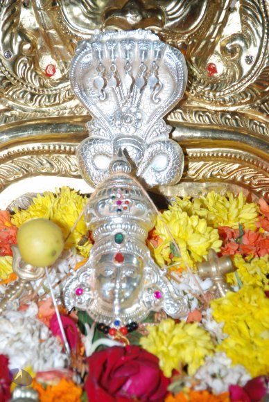 20170720_Photo_1000_DSC_4574_CMP_WM