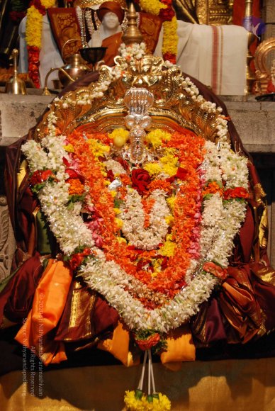 20170720_Photo_1001_DSC_4543_CMP_WM