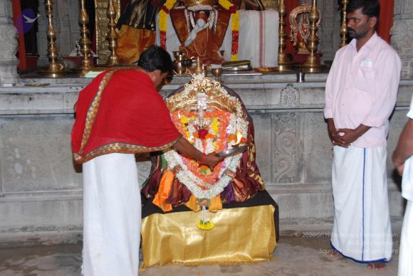 20170720_Photo_1024_DSC_4421_CMP_WM