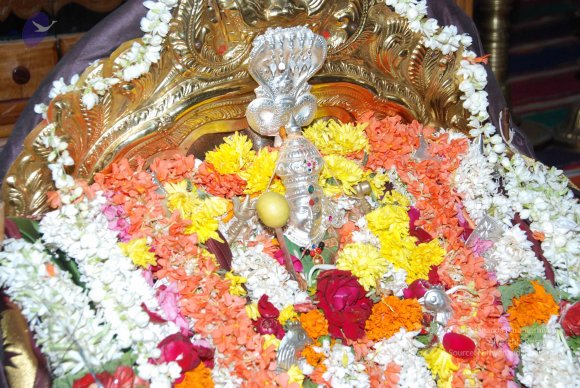 20170720_Photo_1076_DSC_4590_CMP_WM