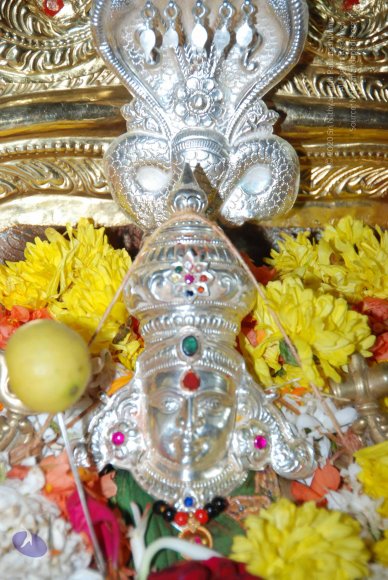 20170720_Photo_1078_DSC_4573_CMP_WM