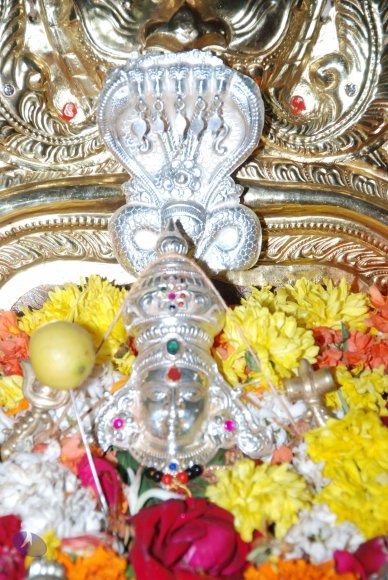 20170720_Photo_1102_DSC_4575_CMP_WM