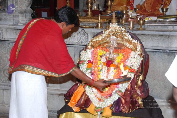 20170720_Photo_1124_DSC_4422_CMP_WM