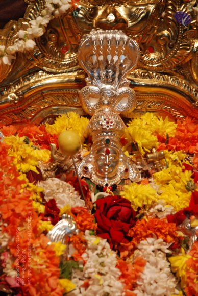 20170720_Photo_1141_DSC_4545_CMP_WM