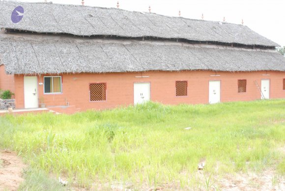 20170720_Photo_1011_DSC_4262_CMP_WM