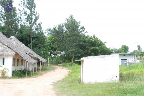 20170720_Photo_1013_DSC_4258_CMP_WM