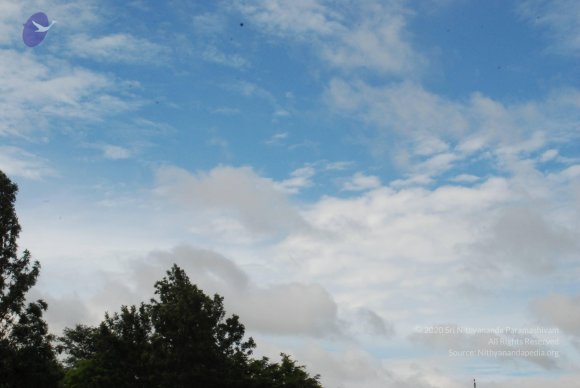 20170720_Photo_1017_DSC_4256_CMP_WM