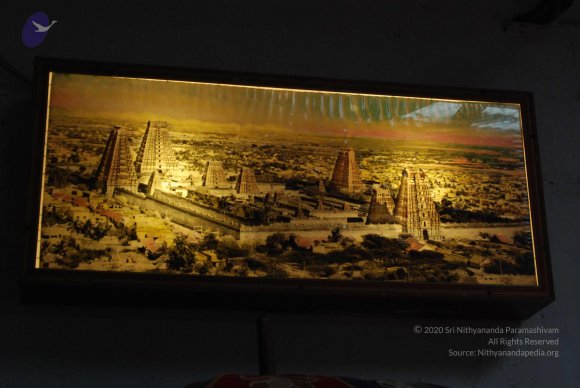 20170720_Photo_1000_DSC_4216_CMP_WM