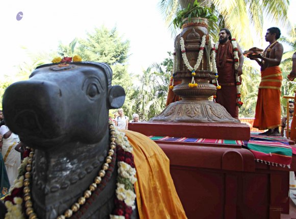 IMG_0300_CMP_WM_batch