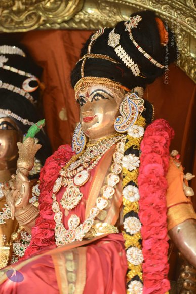 2-TEMPLE_Photo_1025_DSC_0076_CMP_WM