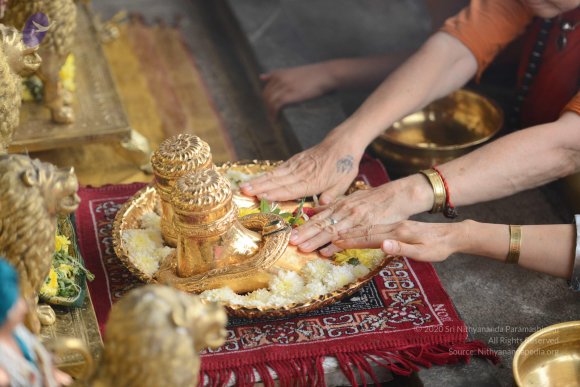 20170113_Photo_1012_DSC_5566_CMP_WM