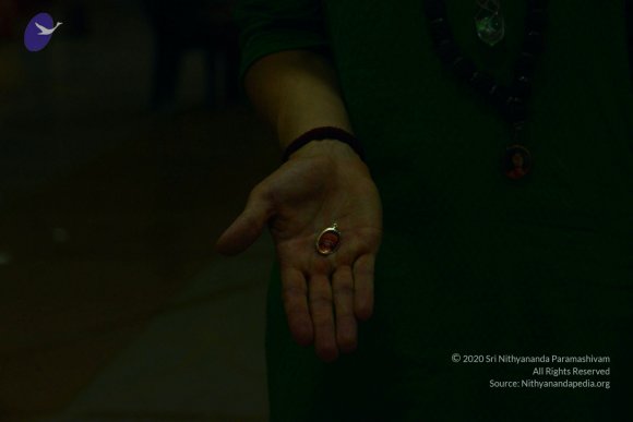 20170115_Photo_1033_DSC_8369_CMP_WM